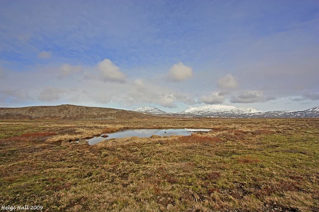 lande islandaise parsemée de mares, avec un volcan enneigé à l'horizon