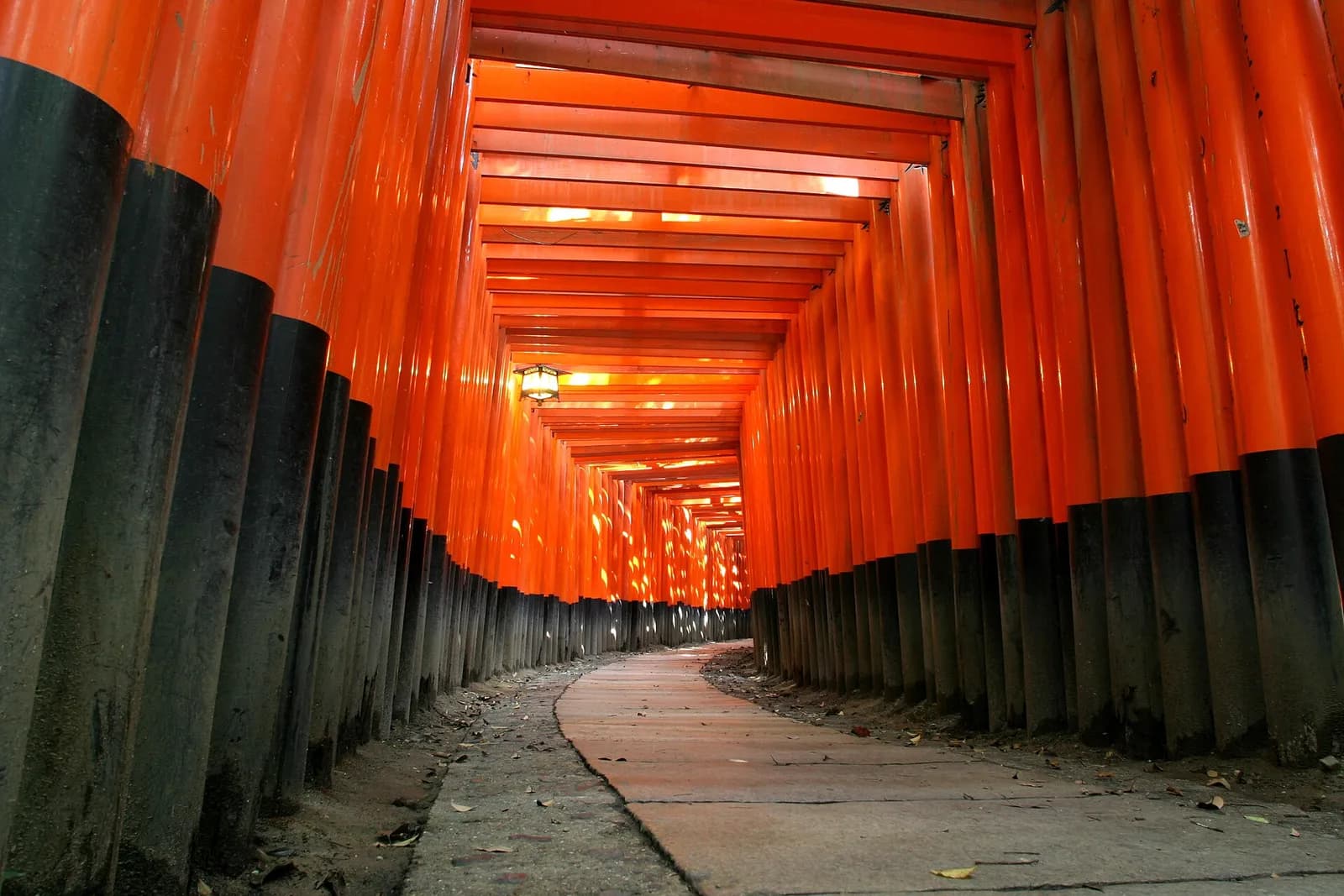 l'allée des milliers de torii vermillon du sanctuaire Fushimi Inari à Kyoto