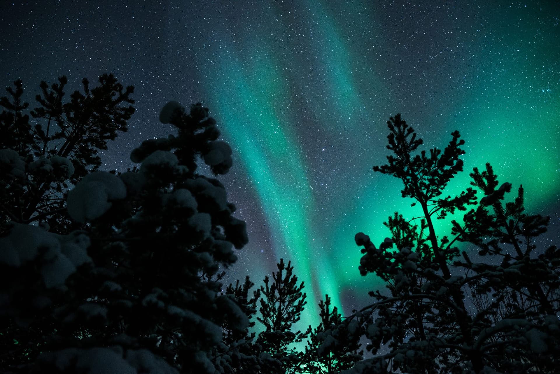 Norvège – Une semaine à Tromsø — Norvège, guide de voyage Âme Bohème