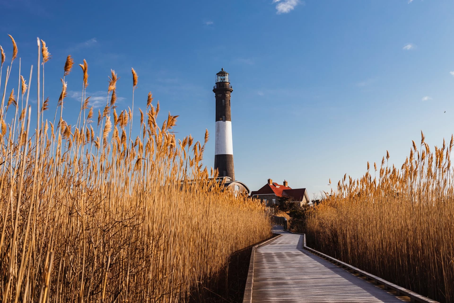 Escapade sur Fire Island – Ile paradisiaque à New York