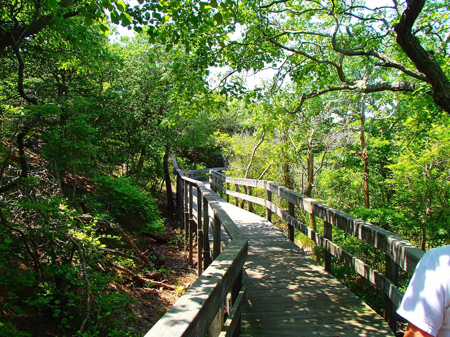 Escapade sur Fire Island – Ile paradisiaque à New York