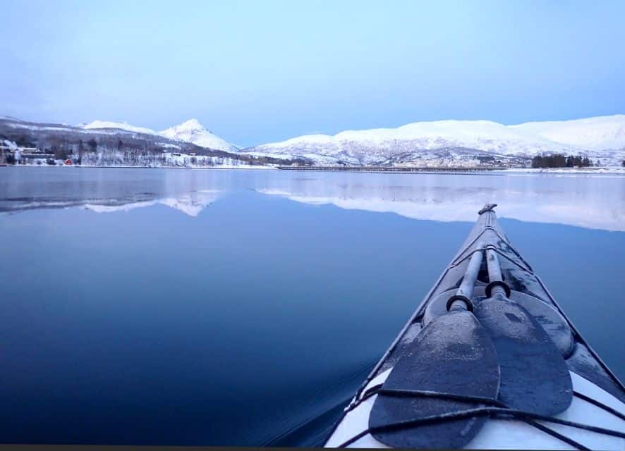 5 Meilleurs Tours pour Observer les Baleines à Tromsø
