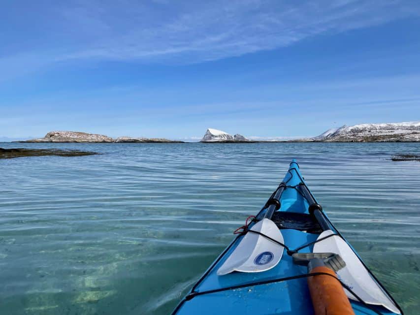 5 Meilleurs Tours pour Observer les Baleines à Tromsø