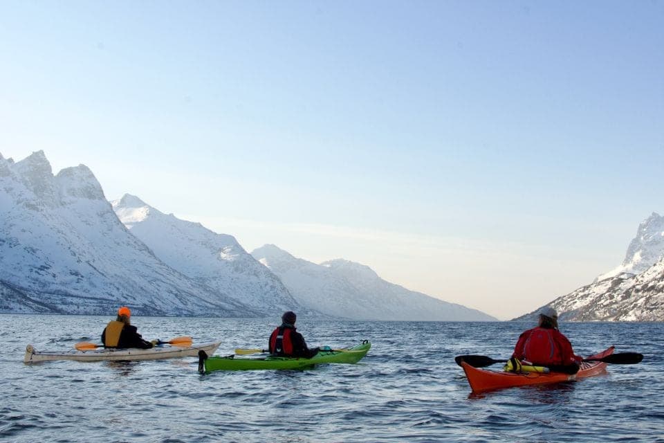 5 Meilleurs Tours pour Observer les Baleines à Tromsø