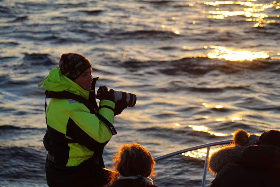 5 Meilleurs Tours pour Observer les Baleines à Tromsø