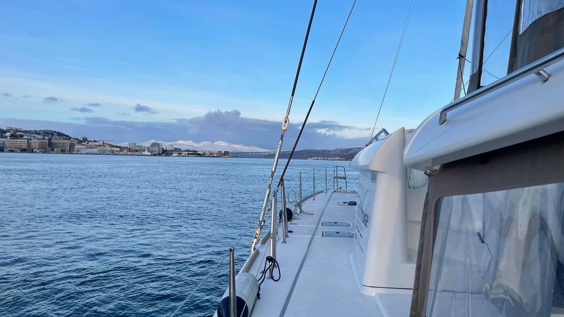 5 Meilleurs Tours pour Observer les Baleines à Tromsø