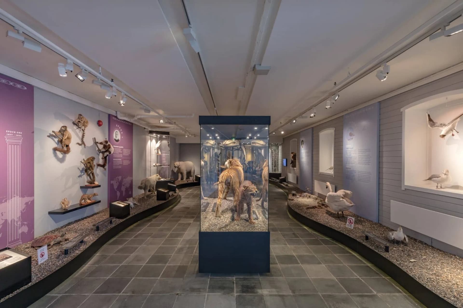 Les meilleurs Musées de Stavanger