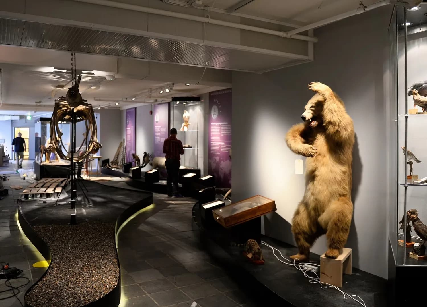 Les meilleurs Musées de Stavanger