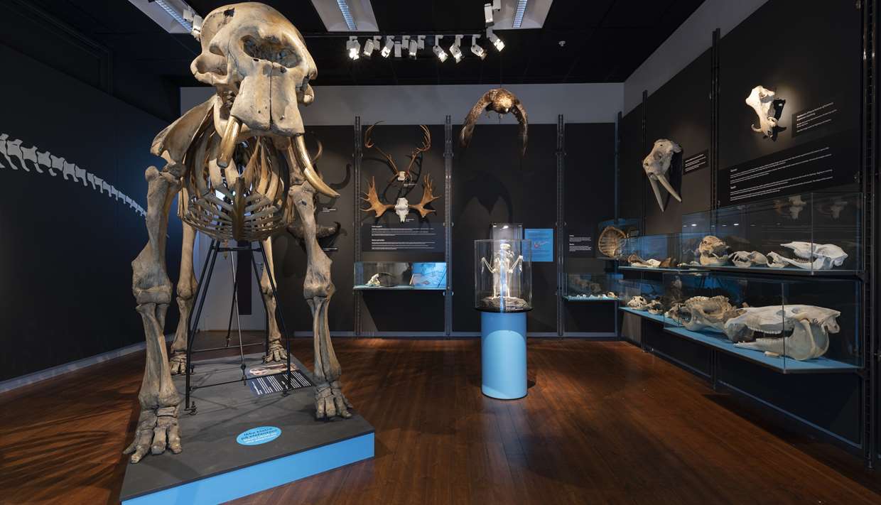 Les meilleurs Musées de Stavanger