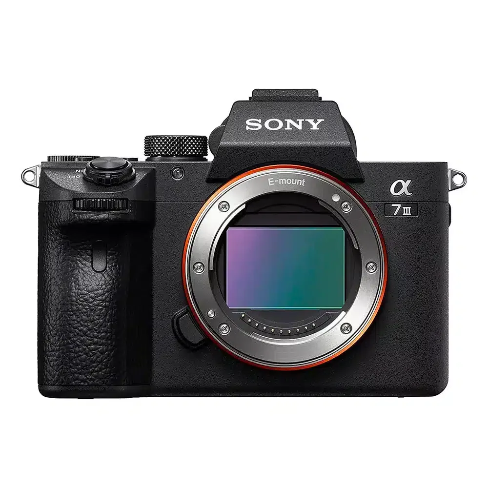 Le guide ultime de la photographie de voyage en solo : trucs, astuces et techniques !