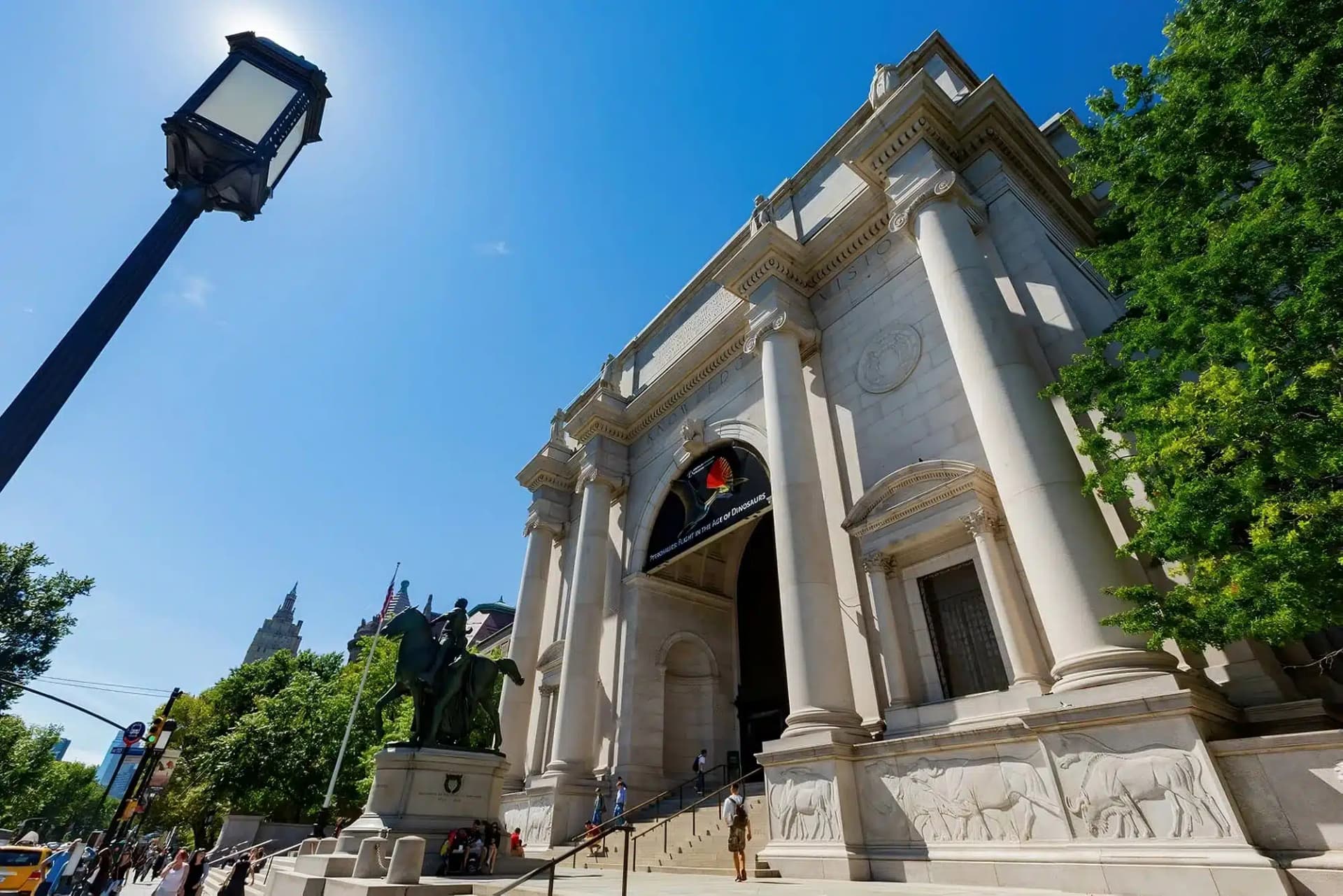 Le Musée Américain d’Histoire Naturelle de New York : Guide Complet — New York, guide de voyage Âme Bohème
