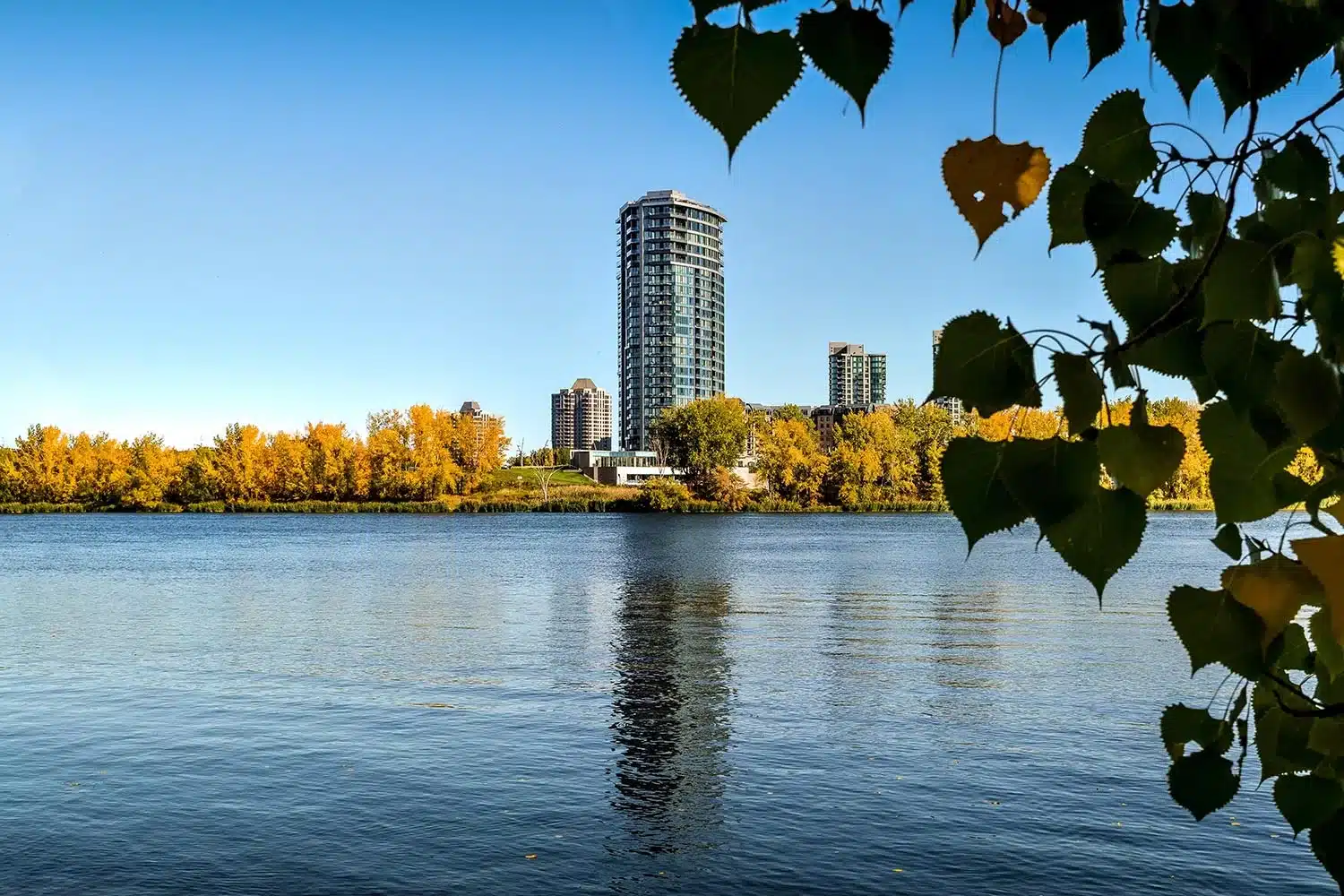 Sécurité à Montréal : le guide pour voyager tranquille