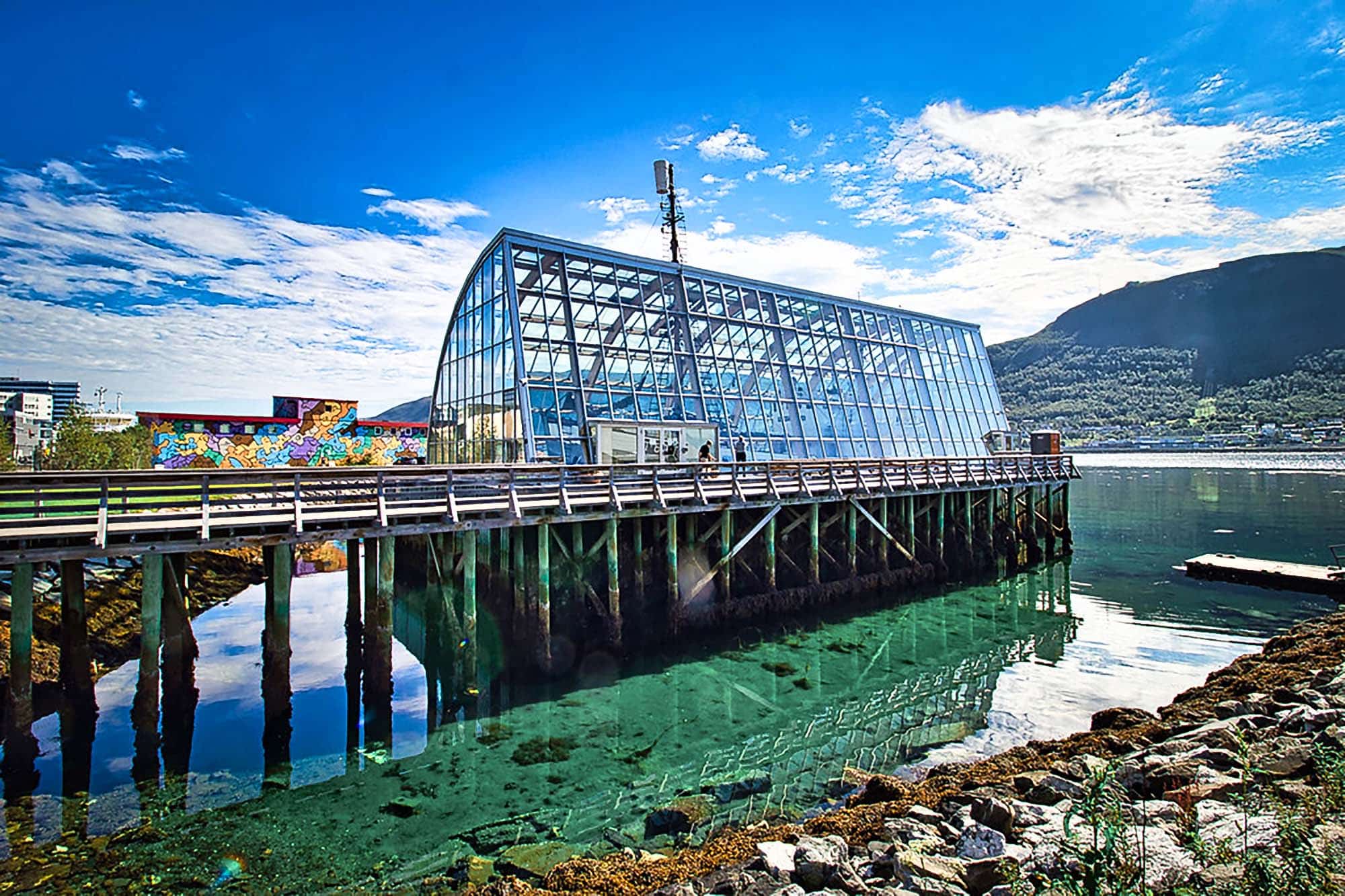 Découvrir le MS Polstjerna à Tromsø, un voyage dans le temps