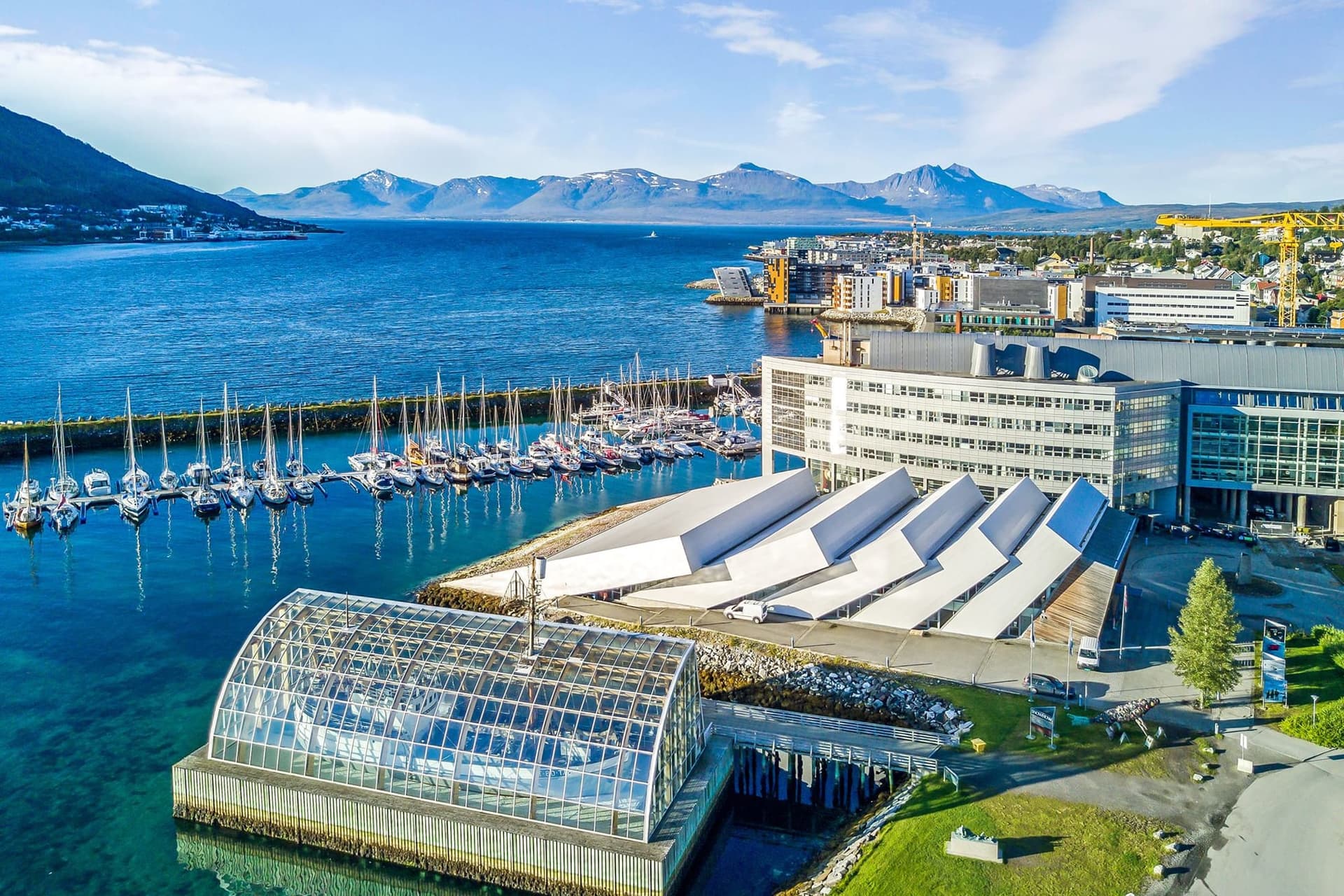 Découvrir Polaria à Tromsø, l’aquarium des mers arctiques — Norvège, guide de voyage Âme Bohème