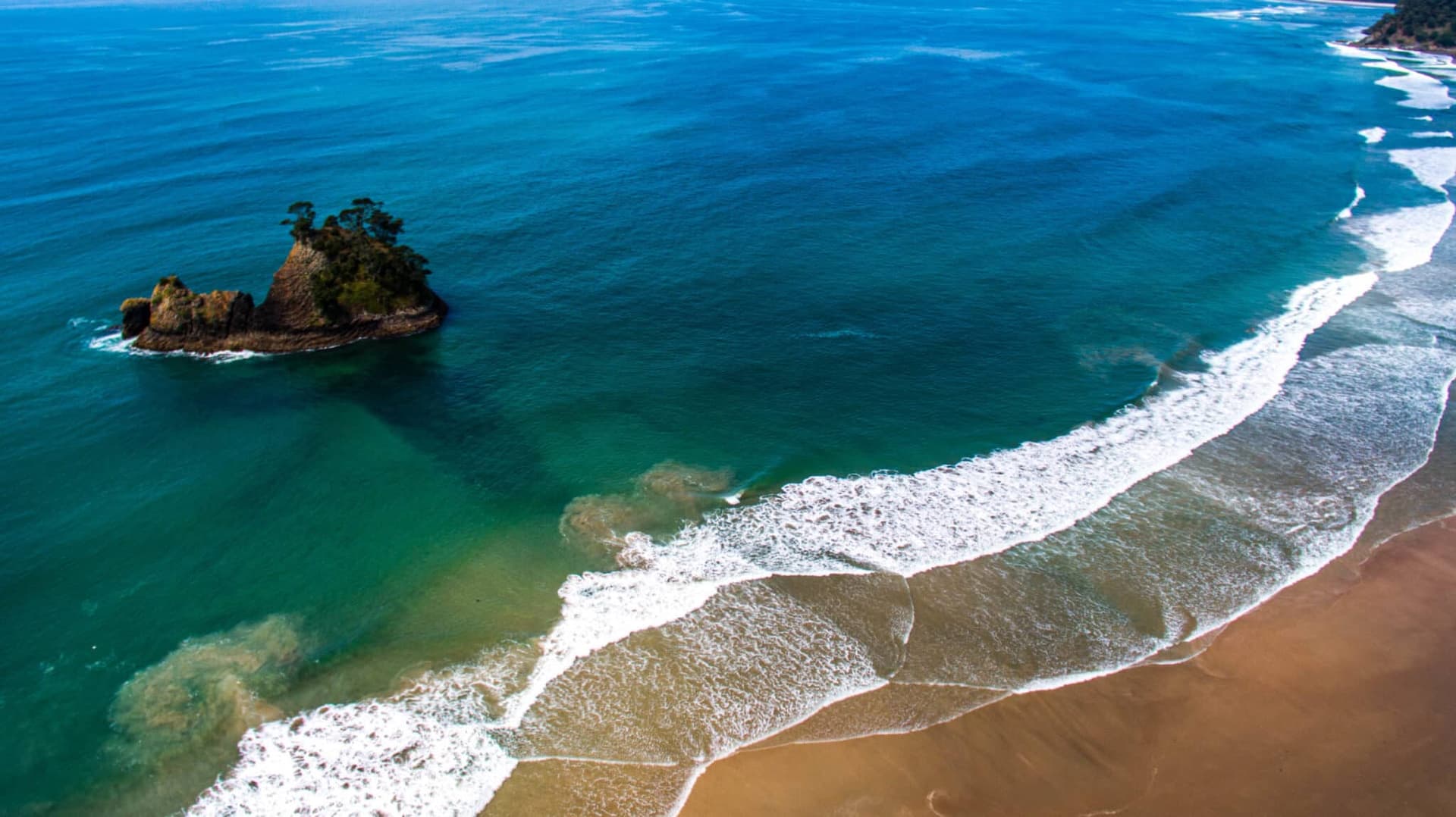 Le guide ultime de New Chums Beach à Coromandel — Nouvelle-Zélande, guide de voyage Âme Bohème