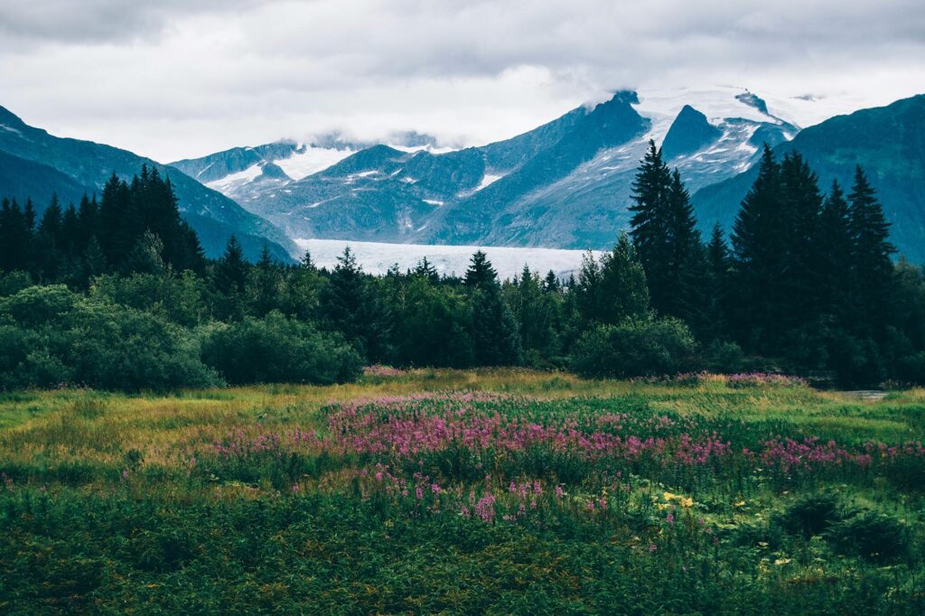 Visitez l'Alaska cette année