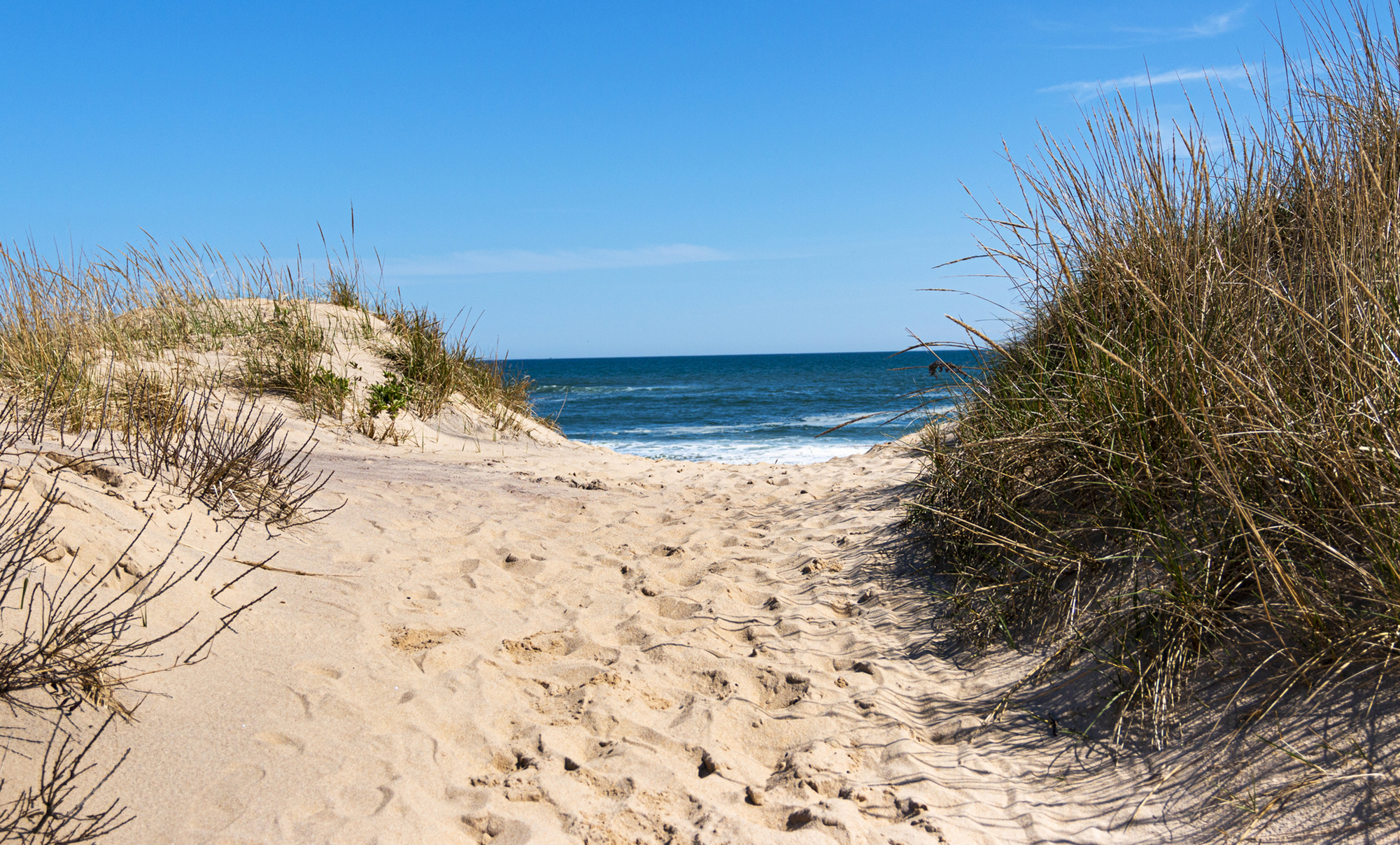 Les bonnes raisons de visiter les plages de New York