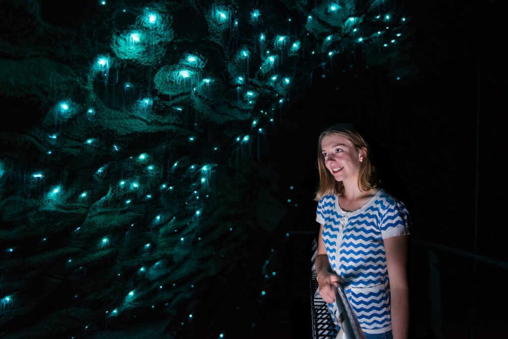 Explorez les incroyables grottes de Waitomo en Nouvelle-Zélande