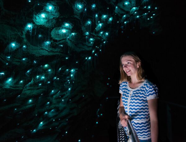 Explorez les incroyables grottes de Waitomo en Nouvelle-Zélande
