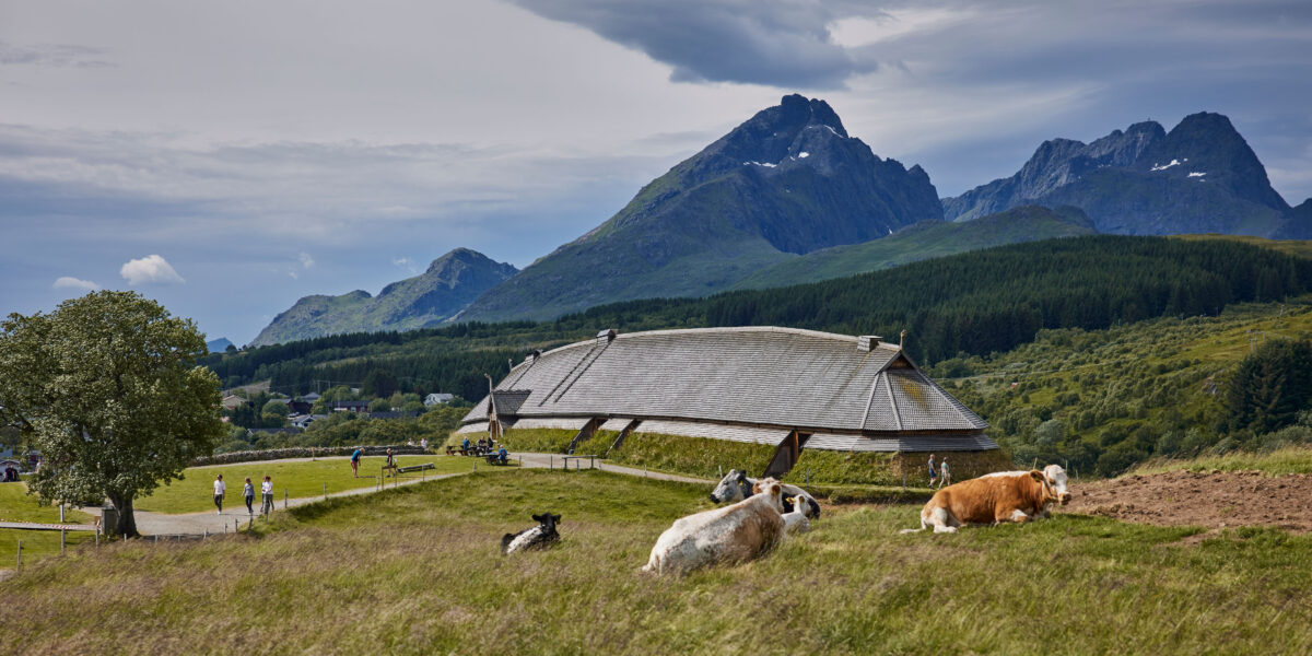 Le musée viking de Lofotr