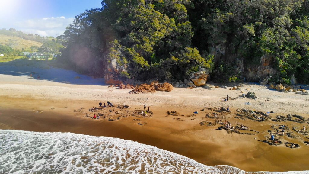 Plongez-vous dans les eaux chaudes d'Hot Water Beach