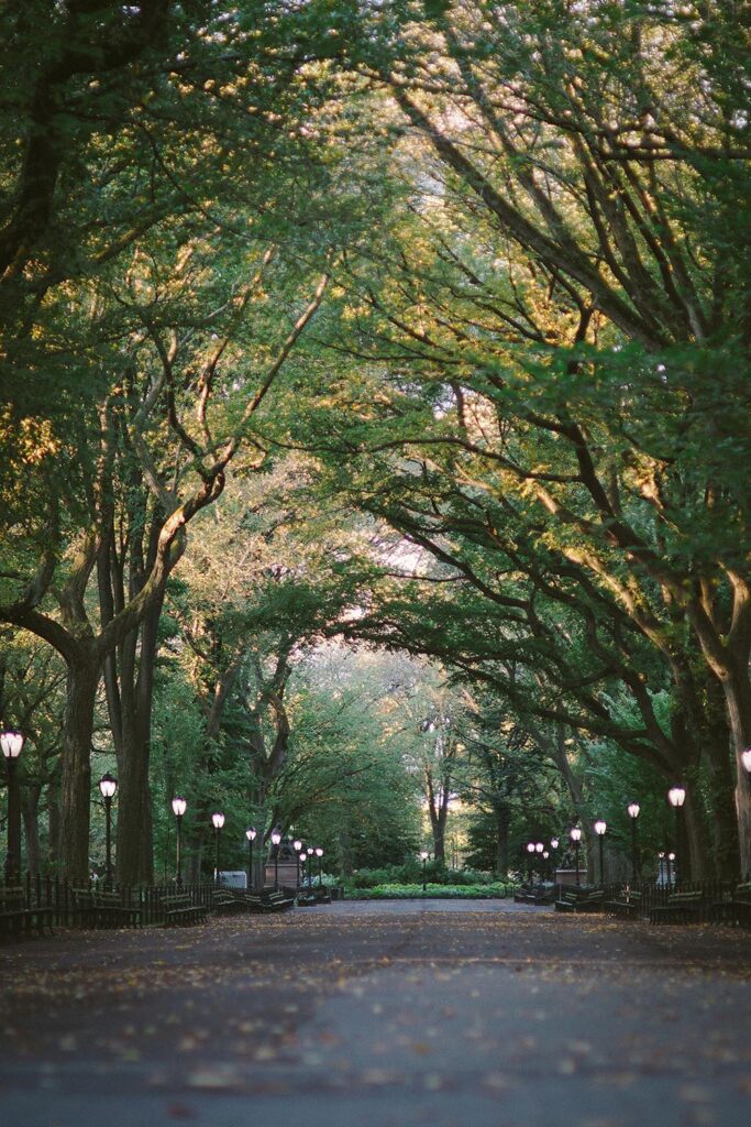 Les tours guidés de Central Park