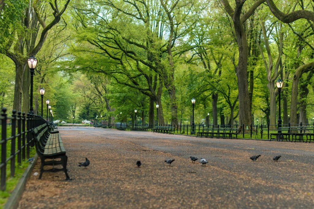 Marche le long de The Mall, en plein cœur de Central Park