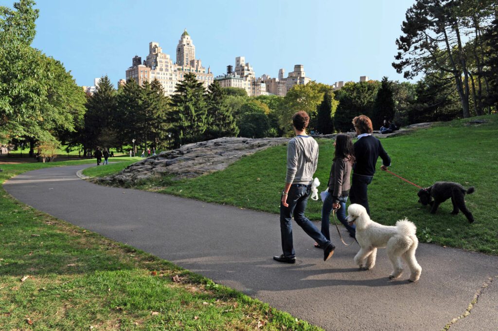 Se balader dans les nombreux recoins de Central Park