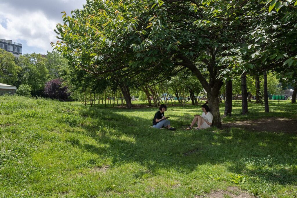 Socrate Sculpture Park, un superbe parc dans Astoria