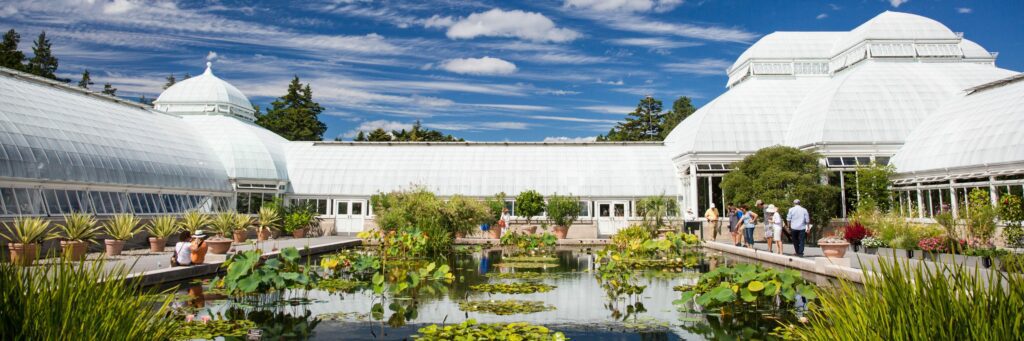 Enid A. Haupt Conservatory and Plants