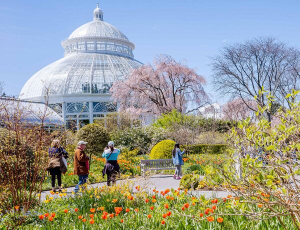 Visitez le New York Botanical Garden