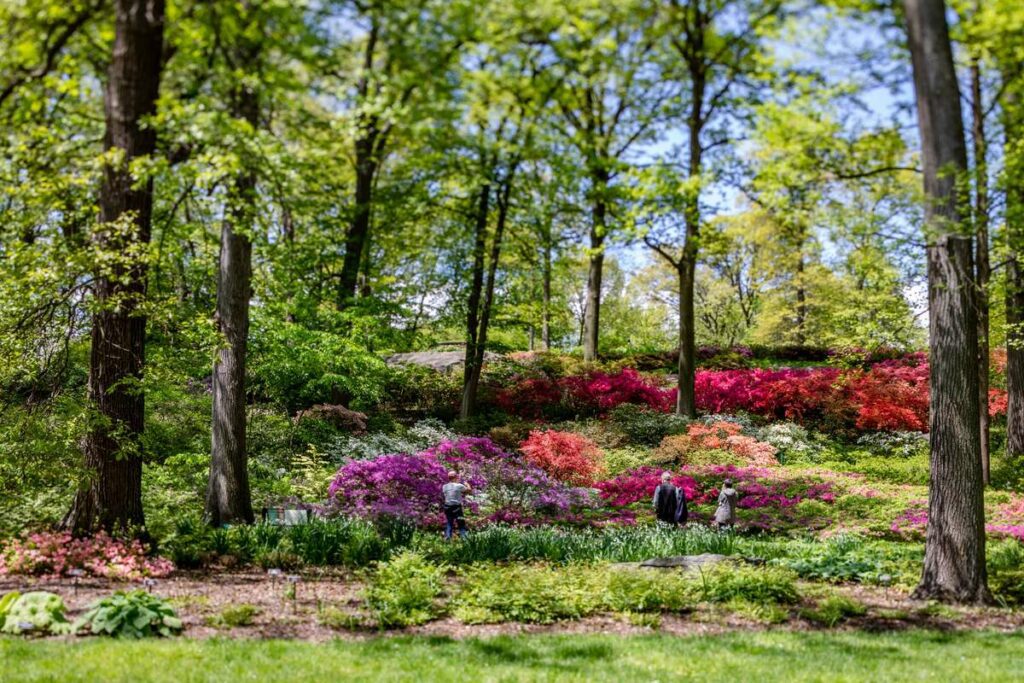 Comment se rendre au New York Botanical Garden ?