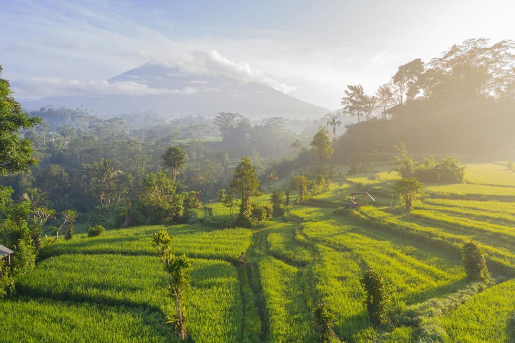 Les splendides paysages de Bali