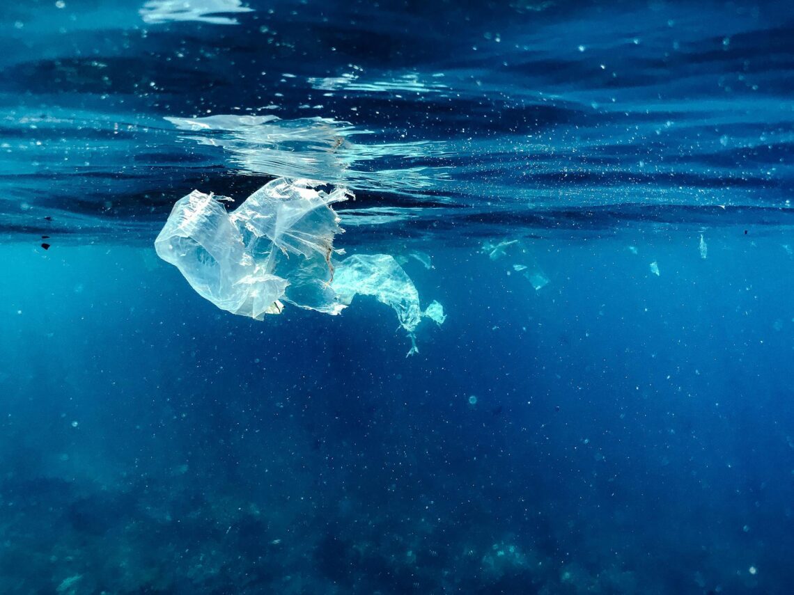 Apprenez à gérer vos déchets plastiques