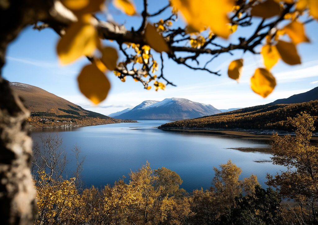 Que faire au mois d'Octobre à Tromsø en Norvège ?