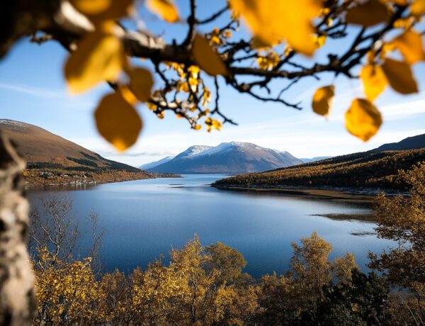 Que faire au mois d'Octobre à Tromsø en Norvège ?