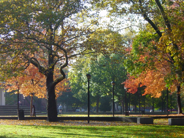 Take a trip to Hamilton Park in Jersey City