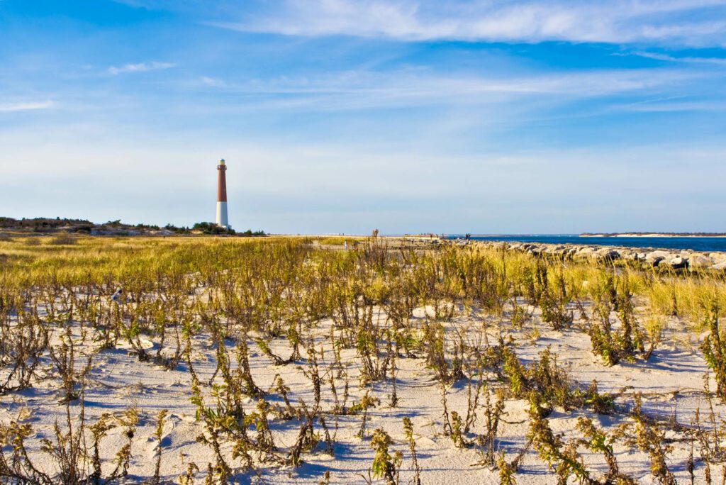 Plage d'Island Beach State Park