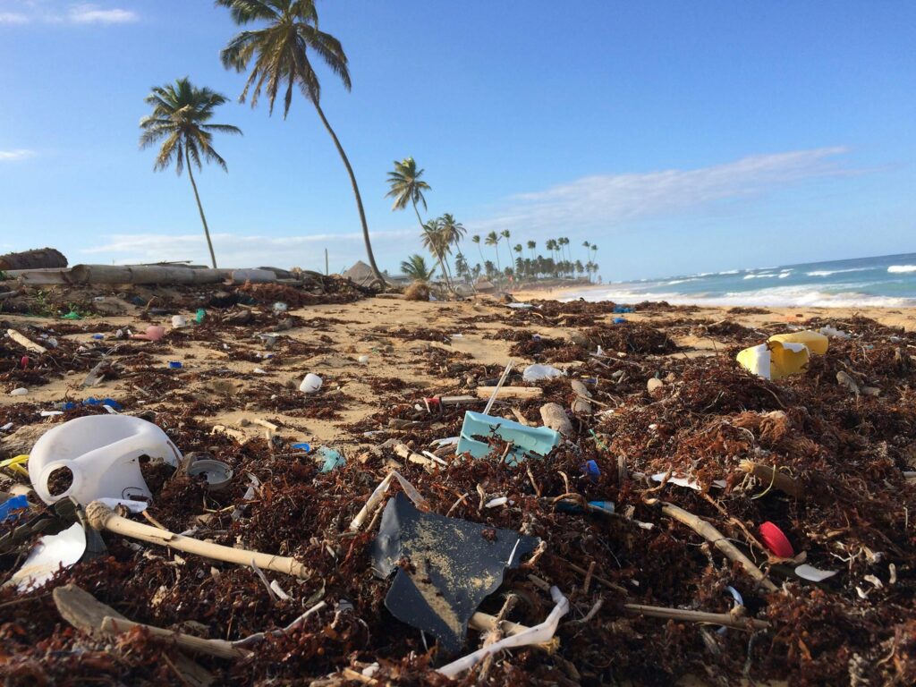 Le plastique, une catastrophe écologique mondiale