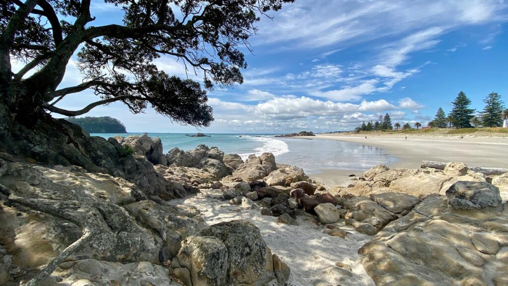 La superbe plage au pied du mont, en plein Tauranga