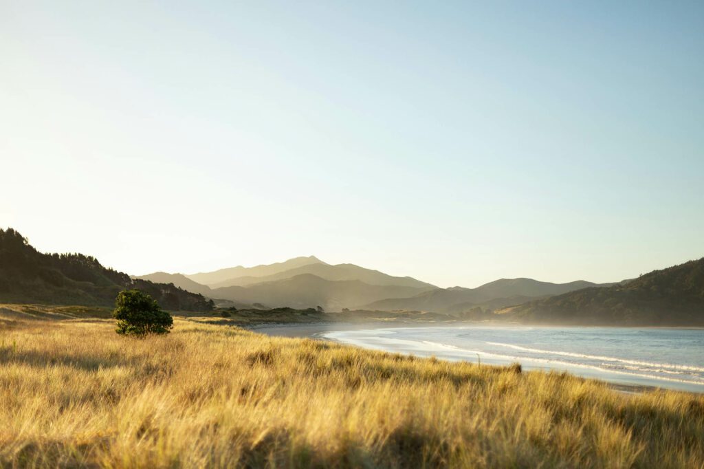 Explorez les plus belles plages de Coromandel en Nouvelle-Zélande