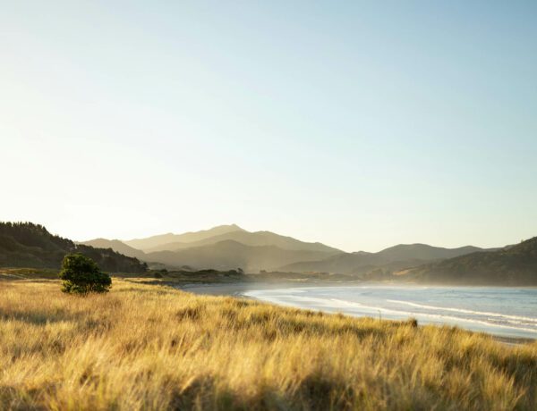 Explorez les plus belles plages de Coromandel en Nouvelle-Zélande