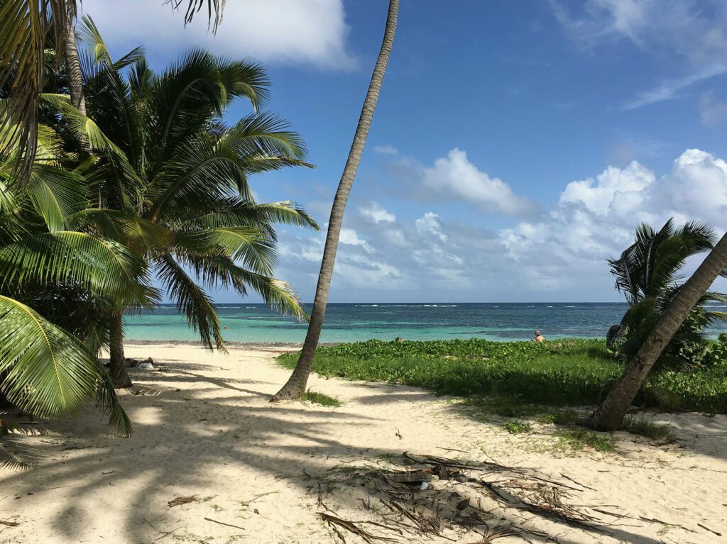 Les magnifiques paysages de la Martinique