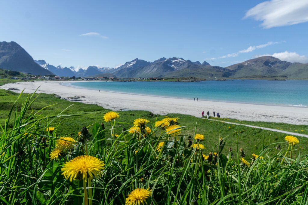 Les meilleurs moments pour visiter les plages des Lofoten