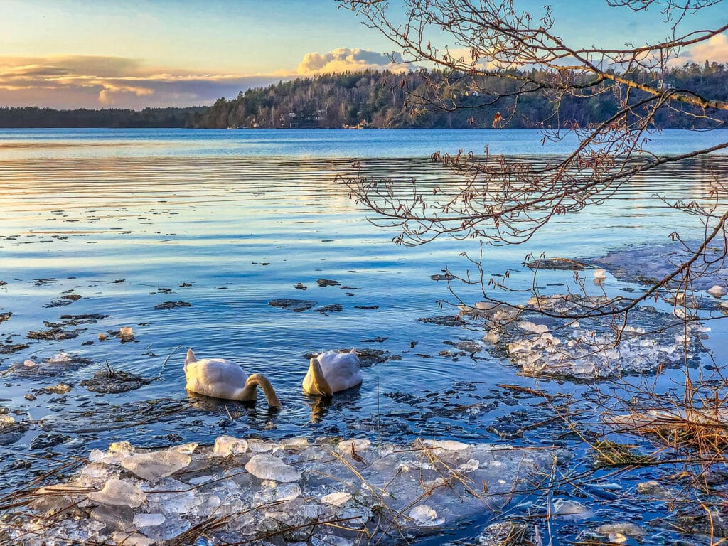 Nos conseils pratiques pour partir à Stockholm