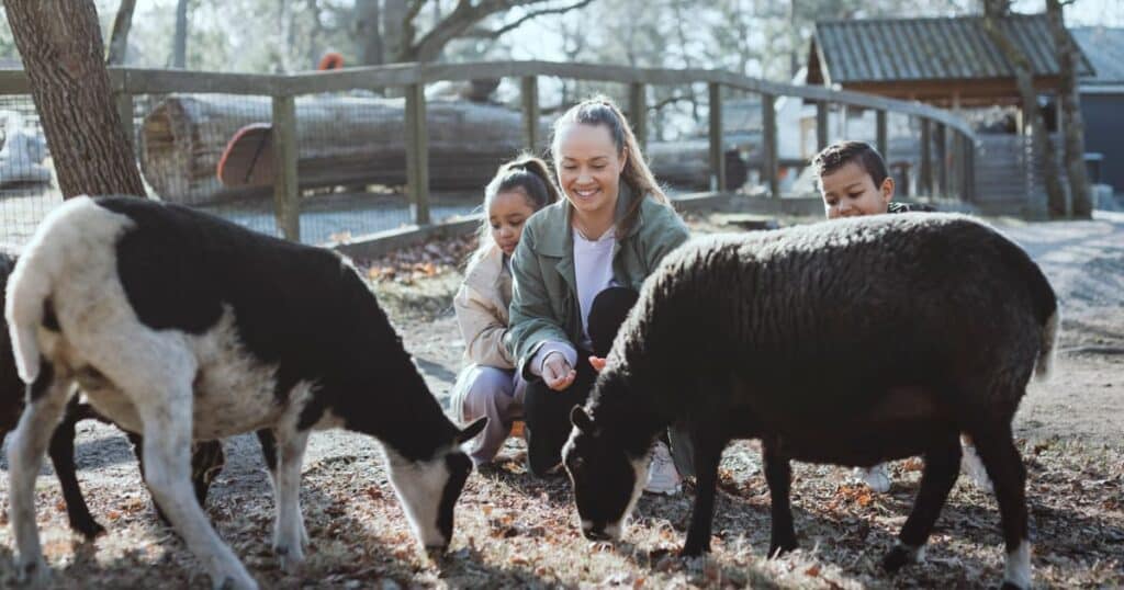 Tout le monde peut s'amuser à Skansen